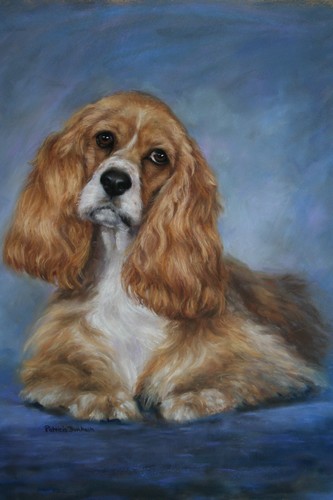 Brown Cocker Spaniel